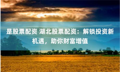 是股票配资 湖北股票配资：解锁投资新机遇，助你财富增值
